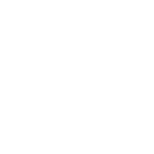 SGS Icon